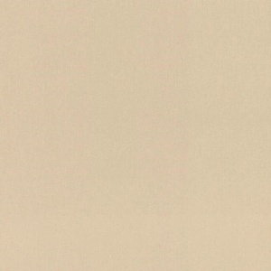Виниловые обои на флизелиновой основе Rasch INCANTO Бежевый