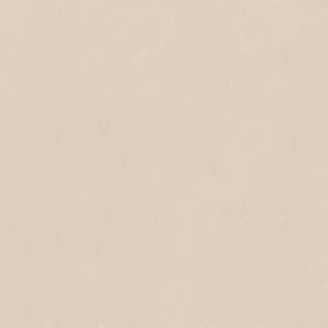 Німецькі вінілові шпалери на флізеліновій основі Erismann Josepha Бежевий (5139-26)