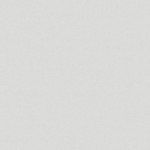 Виниловые обои на флизелиновой основе AS Creation Elite of Shades Серый
