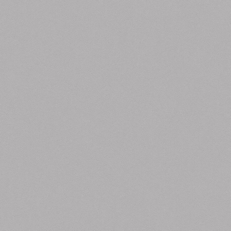 Виниловые обои на флизелиновой основе AS Creation Elite of Shades Серый