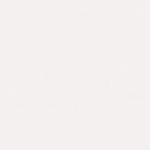 Виниловые обои на флизелиновой основе AS Creation Elite of Shades Белый
