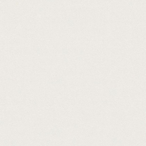 Виниловые обои на флизелиновой основе AS Creation Elite of Shades Белый