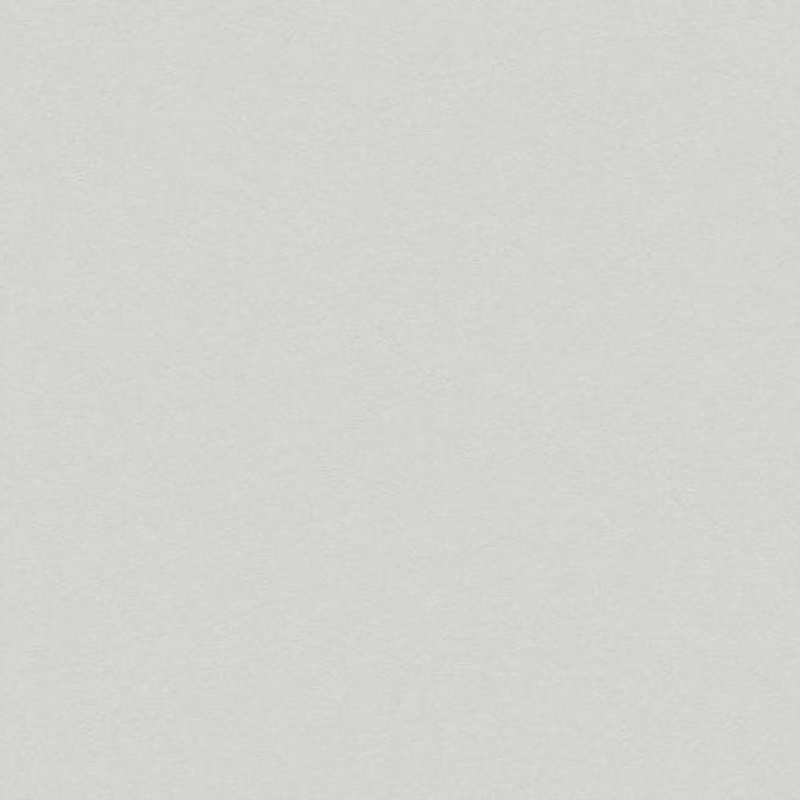 Виниловые обои на флизелиновой основе AS Creation Elite of Shades Серый