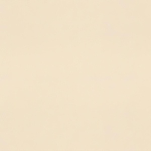 Виниловые обои на флизелиновой основе Erismann Spotlight 2 Бежевый