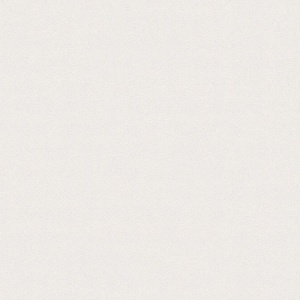 Виниловые обои на флизелиновой основе AS Creation Elite of Shades Белый