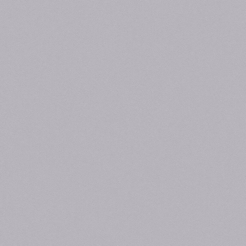 Виниловые обои на флизелиновой основе AS Creation Elite of Shades Серый