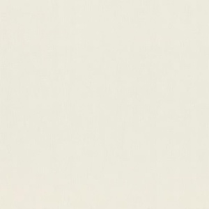 Виниловые обои на флизелиновой основе Rasch Novella Белый