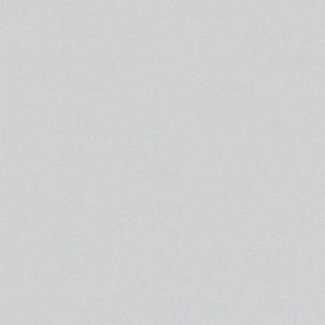 Виниловые обои на флизелиновой основе AS Creation Elite of Shades Серый