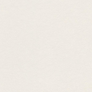 Виниловые обои на флизелиновой основе AS Creation Flower Symphony Белый