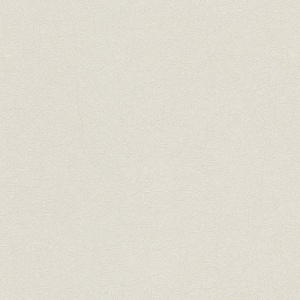 Виниловые обои на флизелиновой основе AS Creation Flower Symphony Серый