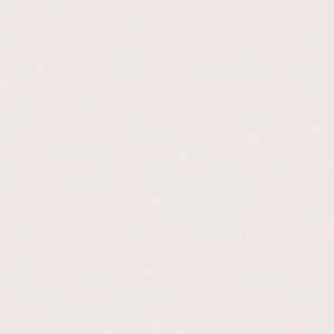 Виниловые обои на флизелиновой основе AS Creation Elite of Shades Белый