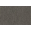 Виниловые обои на флизелиновой основе Rasch Metal Spirit 977318