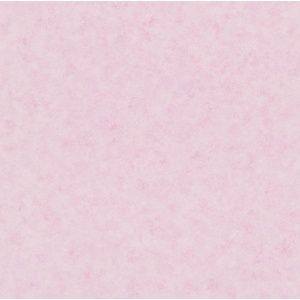 Бумажные обои Rasch Piccolo Розовый