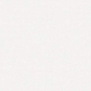 Виниловые обои на флизелиновой основе AS Creation Elite of Shades Белый