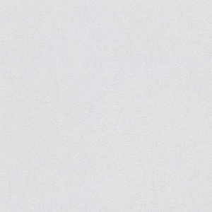 Виниловые обои на флизелиновой основе AS Creation Flower Symphony Серый