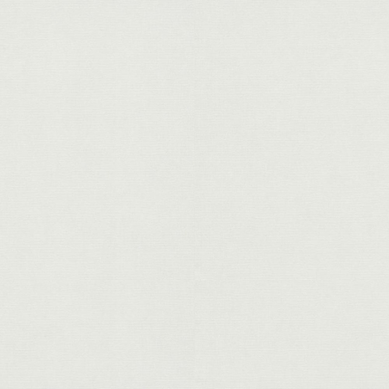 Виниловые обои на флизелиновой основе Erismann Elysium Белый
