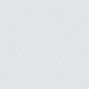 Виниловые обои на флизелиновой основе AS Creation Elite of Shades Серый