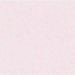 Бумажные обои Rasch Piccolo Розовый