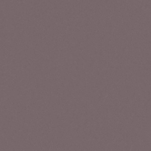 Виниловые обои на флизелиновой основе AS Creation Trendwall Коричневый