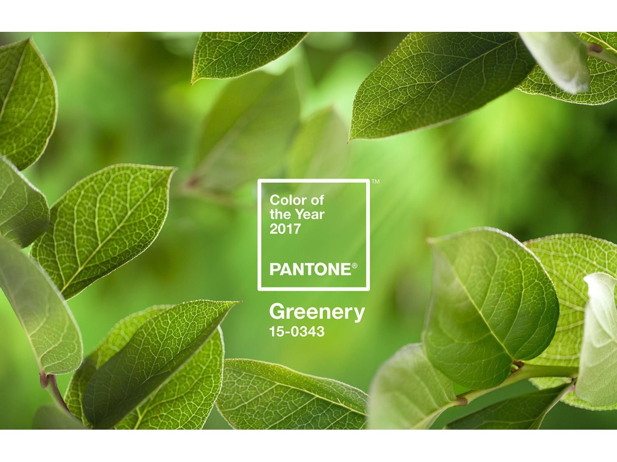 Pantone. Greenery (15-0343). Створюємо трендовий інтер'єр