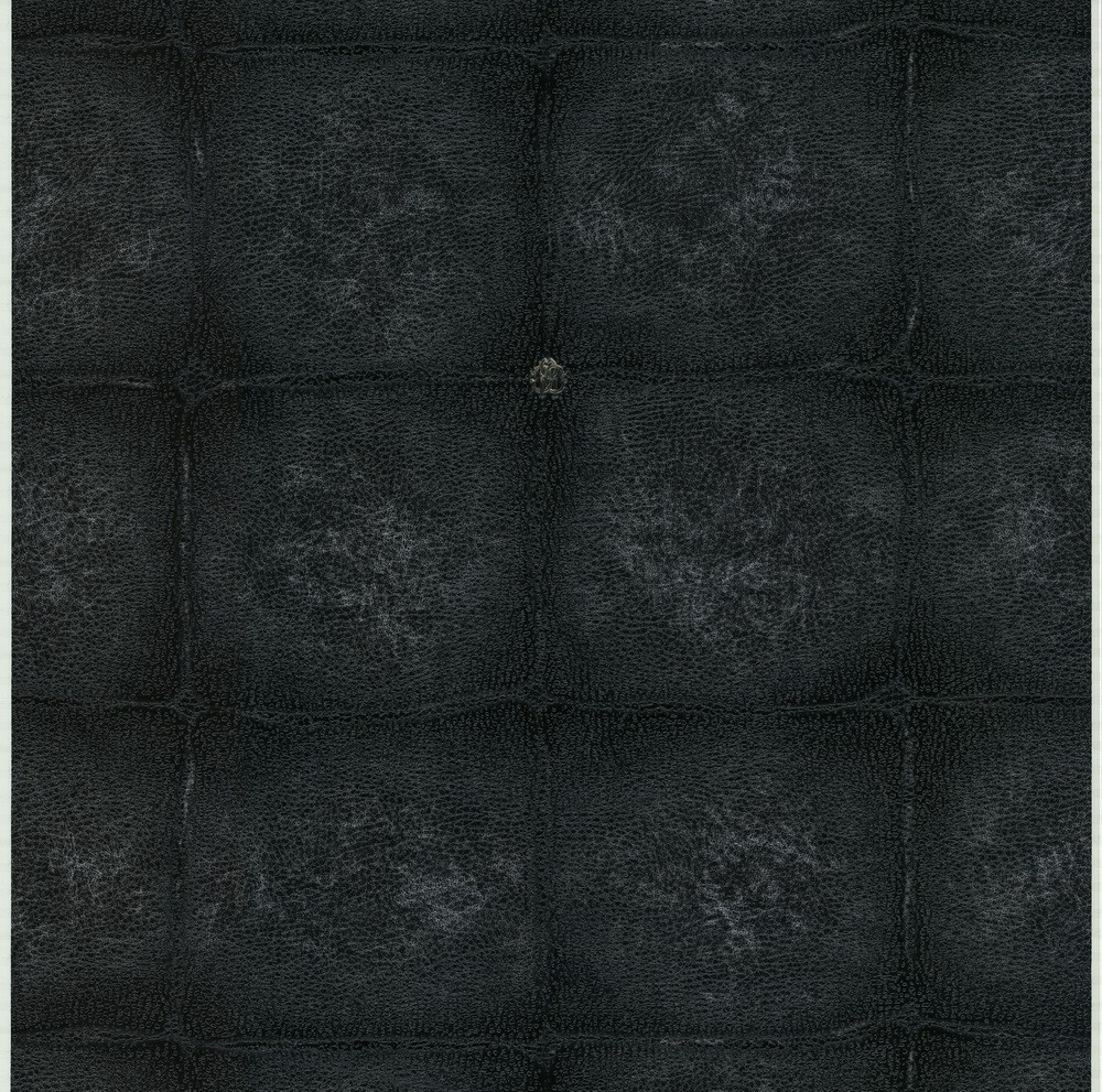 Виниловые обои на флизелиновой основе Emiliana Parati Roberto Cavalli №6 17027